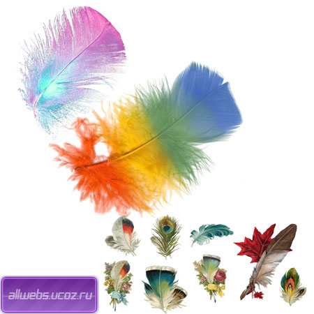 PSD исходники - цветные перья